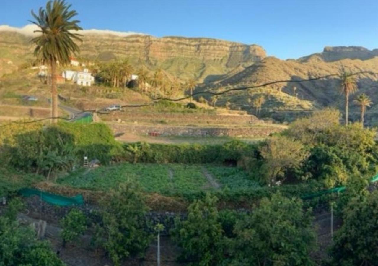 Casa Maria - Finca Medina Алохера Экстерьер фото